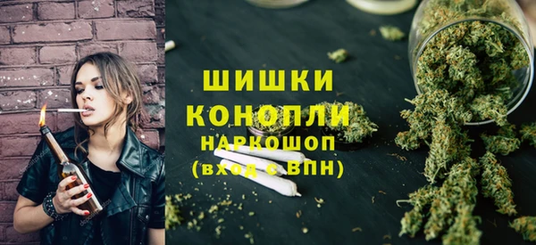 ГАЛЛЮЦИНОГЕННЫЕ ГРИБЫ Липки