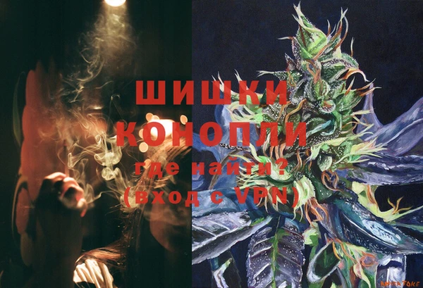 ГАЛЛЮЦИНОГЕННЫЕ ГРИБЫ Липки
