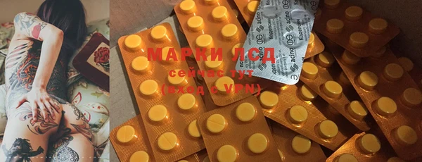 ГАЛЛЮЦИНОГЕННЫЕ ГРИБЫ Липки